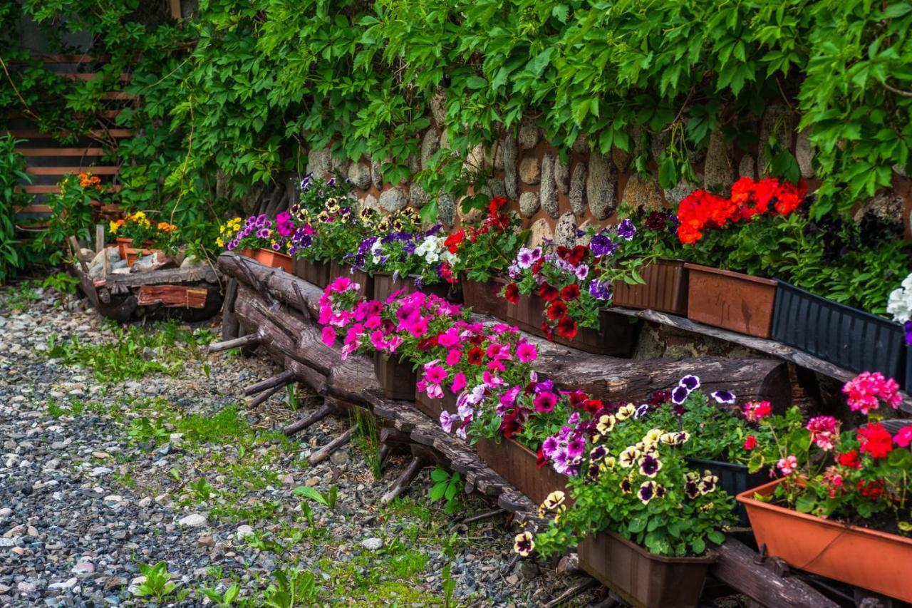Pokoje Z Widokiem Na Gory I Prywatny Domek Z Zadaszona Altana - Grillem I Ogniskiem. Zakopane Exterior photo
