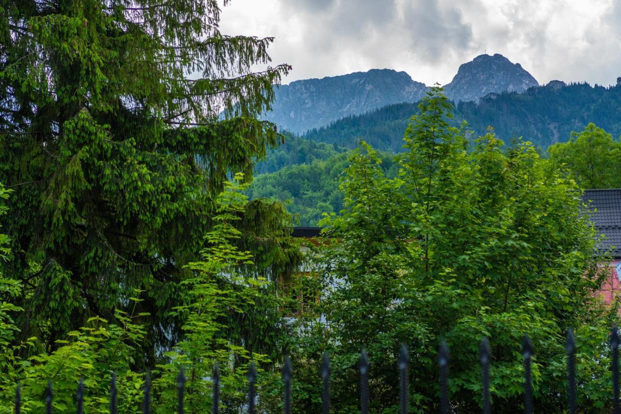 Pokoje Z Widokiem Na Gory I Prywatny Domek Z Zadaszona Altana - Grillem I Ogniskiem. Zakopane Exterior photo